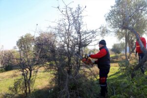 Menderes Belediyesi tarafından ilçede bulunan piknik alanlarında budama ve temizlik