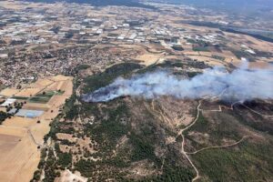 İzmir'in Menderes ilçesinde, ormanlık alanda henüz belirlenemeyen nedenle yangın çıktı.