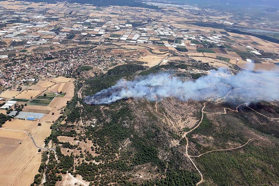 İzmir'in Menderes ilçesinde, ormanlık alanda henüz belirlenemeyen nedenle yangın çıktı.