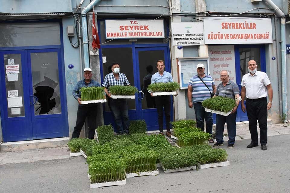 Menemen Belediyesi, &uuml;retilen 200 bin yerli tohum fidesini, (domates, biber