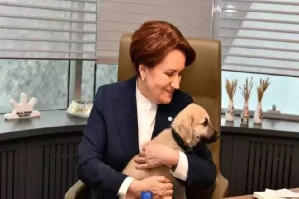 Se&ccedil;im &ccedil;alışmalarına devam eden İYİ Parti lideri Meral Akşener'in Bilecik'te