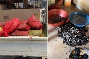 İZMİR'in Konak il&ccedil;esinde, sağlıksız koşullarda &uuml;retildiği tespit edilen 250 kilogram