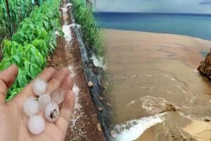 Antalya&rsquo;nın Kaş il&ccedil;esinde şiddetli&nbsp;yağmur&nbsp;etkili oldu. Sokak ve caddeler su altında