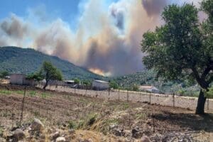 Ege&rsquo;deki Midilli Adası&rsquo;nda bu sabah saatlerinde başlayan yangın ada halkına