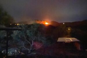 Muğla'nın Milas il&ccedil;esinde, ormanlık alanda &ccedil;ıkan yangın, r&uuml;zgarın etkisiyle kısa