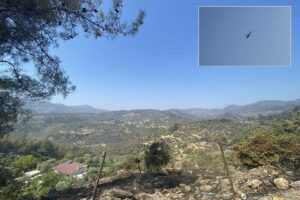 Muğla'nın Milas ilçesindeki orman yangınının 7'nci gününde, Fesleğen Mahallesi ve