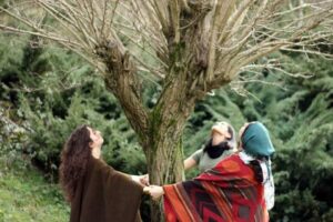 T&uuml;rkiye&rsquo;de ve d&uuml;nyada artarak devam eden doğa tahribatı ve iklim