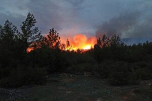 Sazaklı mevkisindeki ormanlık alanda hen&uuml;z belirlenemeyen nedenle yangın &ccedil;ıktı. B&ouml;lgede