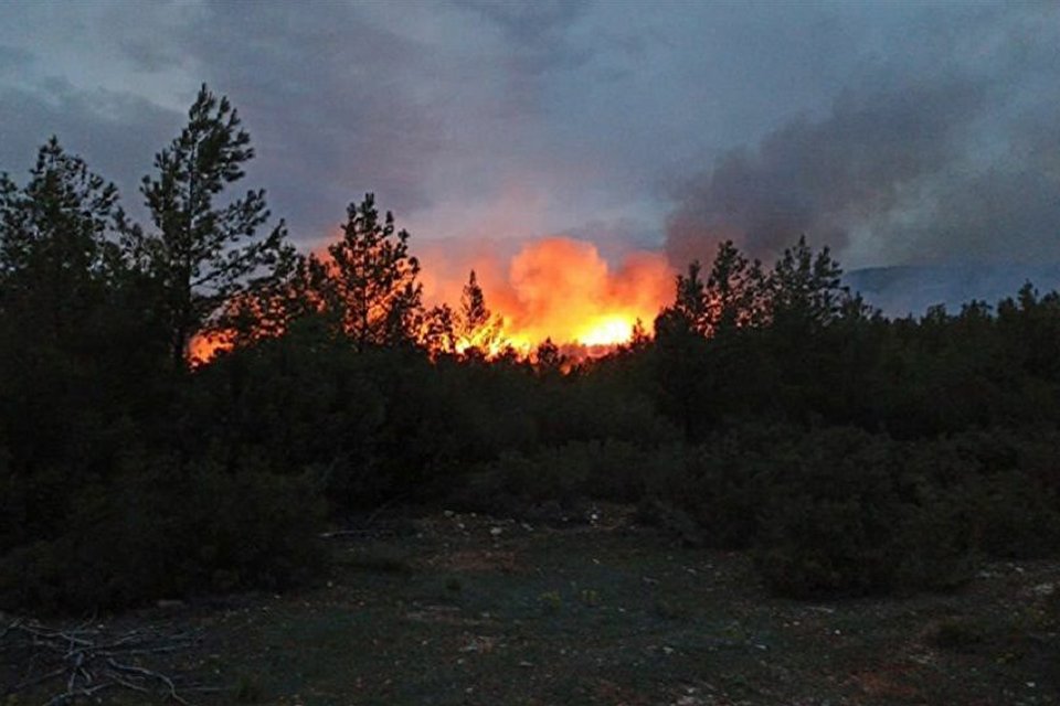 Sazaklı mevkisindeki ormanlık alanda hen&uuml;z belirlenemeyen nedenle yangın &ccedil;ıktı. B&ouml;lgede
