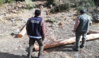 Muğla'da orman ihalesinde usulsüzlük soruşturmasında 4 gözaltı
