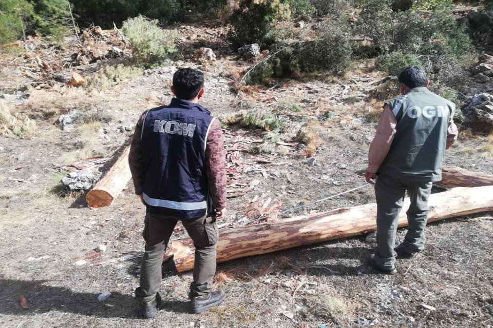 Muğla'nın Fethiye ilçesinde Orman İşletme Müdürlüğü’nün 2 milyon 138 bin