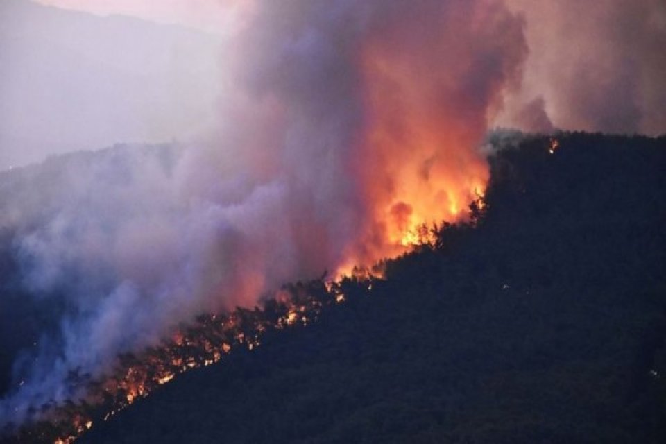 Muğla'nın Ula il&ccedil;esine bağlı Atak&ouml;y mevkisindeki ormanlık alanda gece yarısı