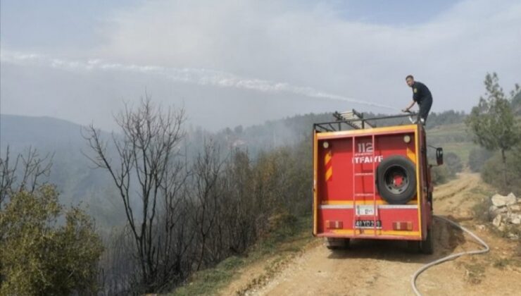 Muğla'da orman yangını