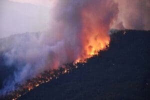 Muğla'nın Ula il&ccedil;esindeki orman yangınını &ccedil;ıkardığı gerek&ccedil;esiyle bir kişi g&ouml;zaltına
