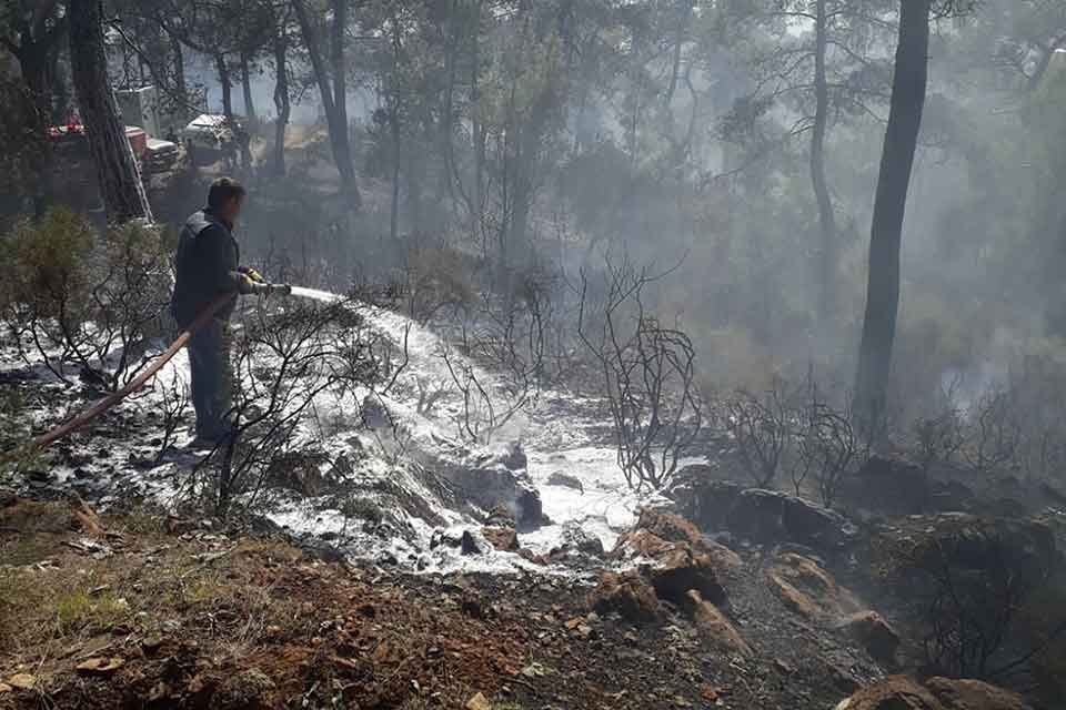 MUĞLA'nın Fethiye il&ccedil;esinin turistik mahallesi G&ouml;cek'te, belirlenemeyen nedenle orman yangını