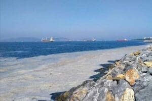 Hidrobiyolog Levent Art&uuml;z, Marmara Denizi'ni etkisi altına alan deniz salyasının