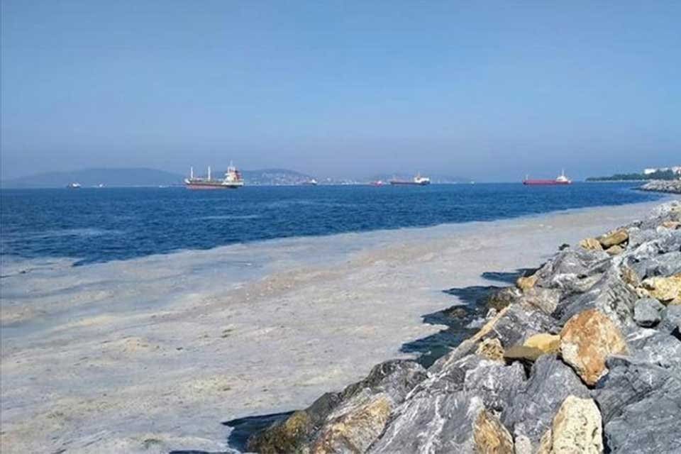 Hidrobiyolog Levent Art&uuml;z, Marmara Denizi'ni etkisi altına alan deniz salyasının
