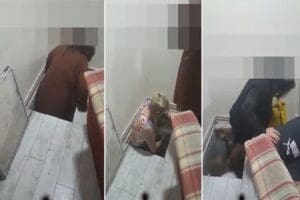 Aydın Nazilli il&ccedil;esinde bir m&uuml;zikholde yabancı uyruklu kadınların konsomatris olarak