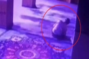 Bornova il&ccedil;esinde Haydar &Ccedil;oban, namaz kıldığı sırada ge&ccedil;irdiği kalp krizi