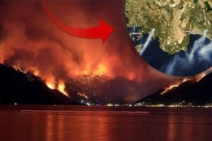 Amerikan Havacılık ve Uzay Dairesi'nden (NASA) T&uuml;rkiye'de s&uuml;rmekte olan orman