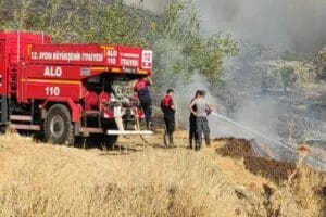 &nbsp;Aydın'ın Nazilli il&ccedil;esinde, d&uuml;n tarım arazisinde başlayıp, ormanlık alana sı&ccedil;rayan