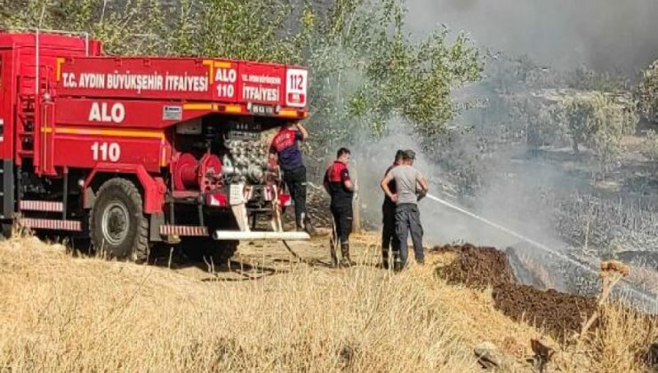 Nazilli'de ormanlık alana sıçrayan…  Yangın 10 saatte söndürüldü