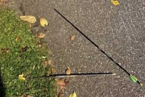 Norveç'in Kogsberg kasabasında düzenlenen oklu saldırıda en az 5 kişi