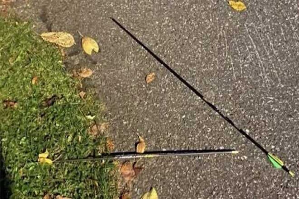 Norveç'in Kogsberg kasabasında düzenlenen oklu saldırıda en az 5 kişi