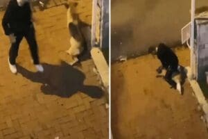 &nbsp;İstanbul Sarıyer'de k&ouml;peği merdiven boşluğuna atıp boğmaya &ccedil;alışan saldırgan tutuklandı.,