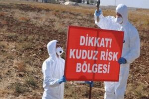 Tunceli’nin Hozat ilçesinde kuduz vakası görülmesi nedeniyle karantina uygulaması başlatıldı.