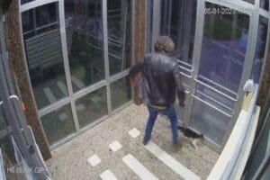 İstanbul'da, bir sitenin girişindeki kedilere tekme attığı anlara ait g&ouml;r&uuml;nt&uuml;leri