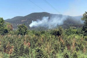 İzmir'in &Ouml;demiş il&ccedil;esindeki ormanlık alanda yangın &ccedil;ıktı. Ekipler, alevlerin s&ouml;nd&uuml;r&uuml;lmesi