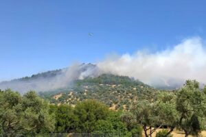 İzmir'in &Ouml;demiş il&ccedil;esinde, ormanlık alanda yangın &ccedil;ıktı. Alevlere havadan ve