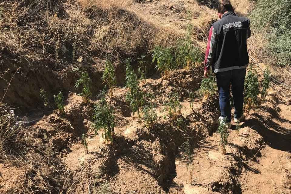 İZMİR'in &Ouml;demiş il&ccedil;esinde, polis ekipleri tarafından yapılan uyuşturucu operasyonunda, bir