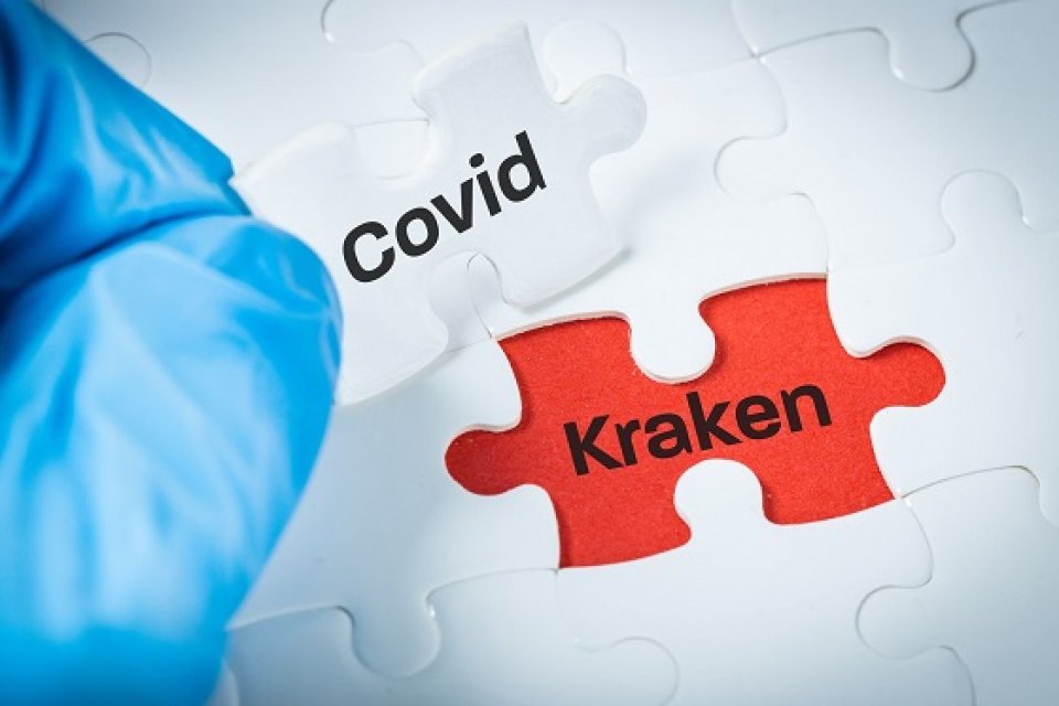 Avrupa Hastalık Önleme ve Kontrol Merkezi (ECDC), Covid-19 hastalığına yol