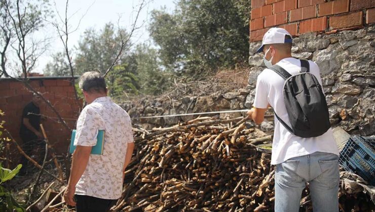 Orman Şehidi Erdal Tovka'nın baba ocağı onarılmaya başlandı
