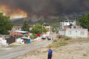 Muğla'nın Yatağan ilçesinde çıkan, rüzgarın da etkisiyle hızla yayılıp Aydın'ın