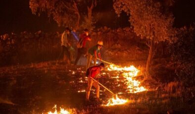 Orman yangınlarında son durum: Son 11 günde 223 yangın çıktı