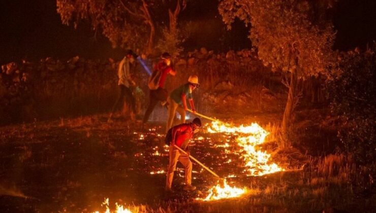 Orman yangınlarında son durum: Son 11 günde 223 yangın çıktı