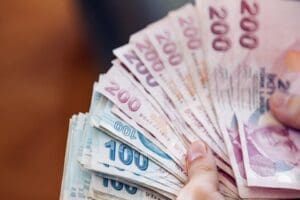 AFAD, orman yangınlarından etkilenen b&ouml;lgelere, Aile ve Sosyal Hizmetler, &Ccedil;evre