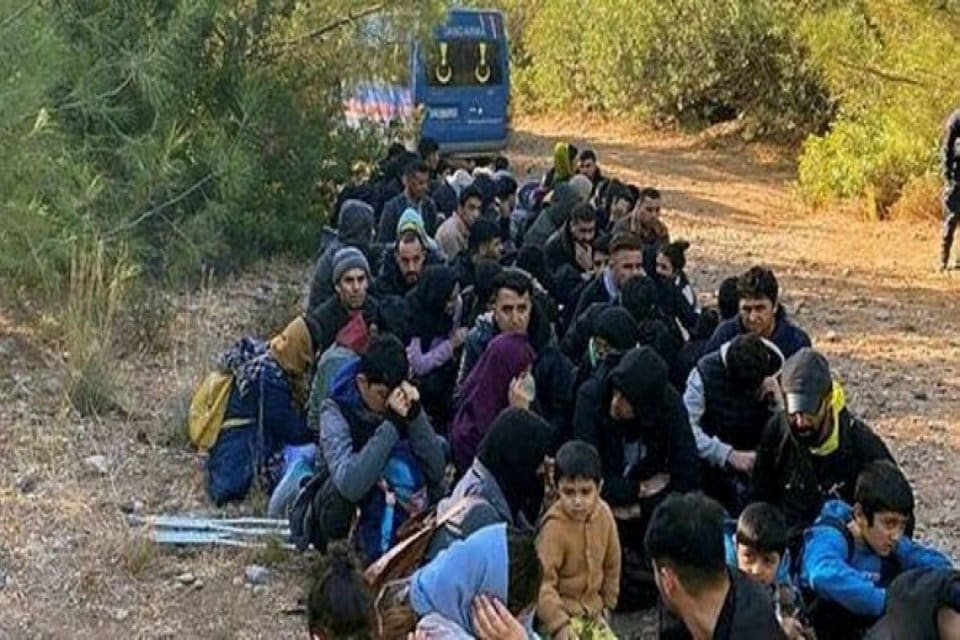 Muğla'nın Bodrum il&ccedil;esinde,&nbsp;ormanda, yasa dışı yollardan Yunan adalarına ge&ccedil;me hazırlığındaki