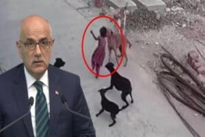 Tarım ve Orman Bakanı Vahit Kirişci, yerel y&ouml;netimlere hayvan barınağı