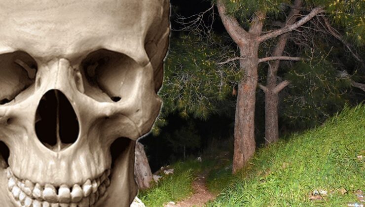 Ormanlık alandaki kafatası ve kemikleri, define arayan ikili bulmuş