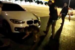 İzmir'in Kemalpaşa il&ccedil;esinde, polis ekiplerince durdurulan otomobilde narkotik k&ouml;peği 'Alis'