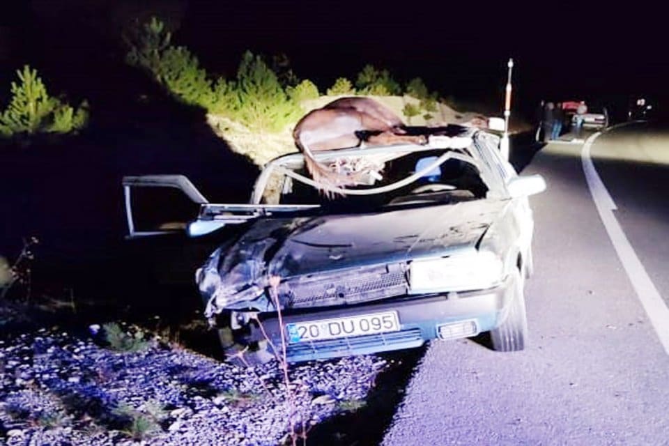 DENİZLİ'nin &Ccedil;ameli il&ccedil;esinde, aniden yola &ccedil;ıkan eşeğe &ccedil;arpan otomobilin s&uuml;r&uuml;c&uuml;s&uuml;