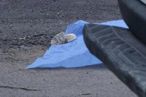 Antalya'da kardeşleri ile &ccedil;&ouml;p atmaya giden ve daha sonra kamyonun