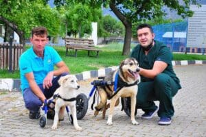 Manisa'da, farklı zamanlarda, farklı nedenlerden bel omurilik kemikleri ile arka