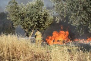 İZMİR'in Kemalpaşa ilçesinde bulunan bir palet atölyesinde çıkan yangın, zeytinlik
