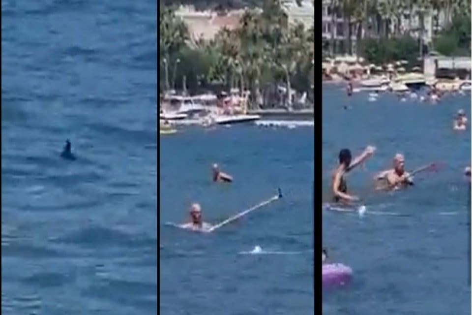Marmaris'ta k&ouml;pekbalığı olduğu &ouml;ne s&uuml;r&uuml;len bir balığı yurttaşların paspasla kovalamasına