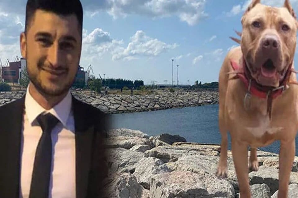 Pendik'te Oğuzhan Doğan&rsquo;ın denizde&nbsp;pitbull&nbsp;cinsi k&ouml;peğin saldırması sonucu boğulduğu iddia edilen